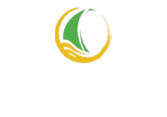 纵横通达国际物流